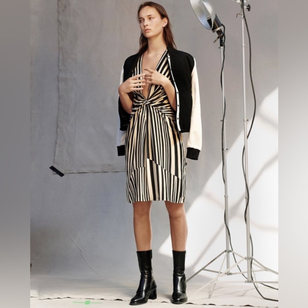 NWT $525 Rag & Bone Beatrice Printed Dress In Gold Stripe - Picture 1 of 9